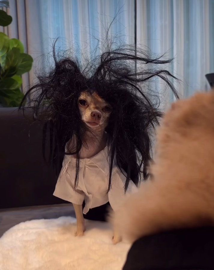 김담이 tweet media