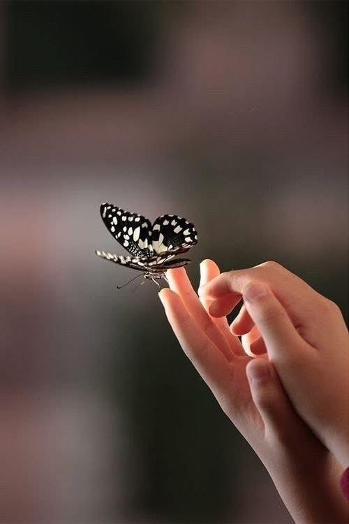 acrstico2's tweet photo. Buenos días a todos

“Quizá solo fuiste una breve historia en mi vida...pero que leeré mil veces”

La palabra de hoy es: BREVE 

#PorElPlacerDeEscribir

Infinitas gracias por sus aportes https://t.co/1ZMu8yipv0