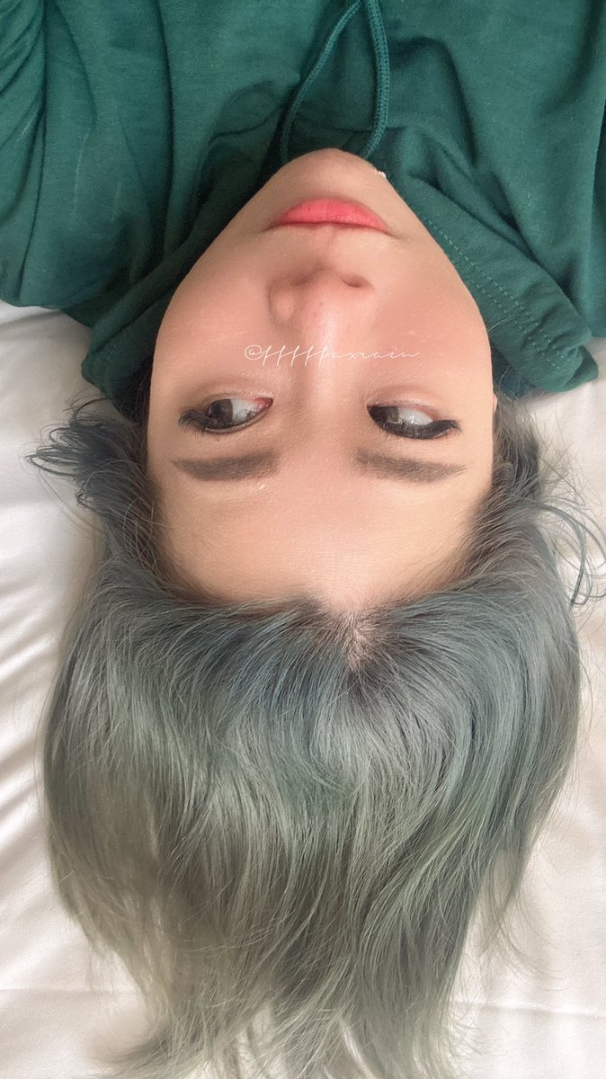 小狐狸 tweet media