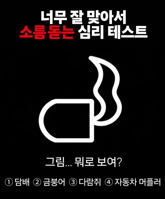 Liora Solveil tweet media