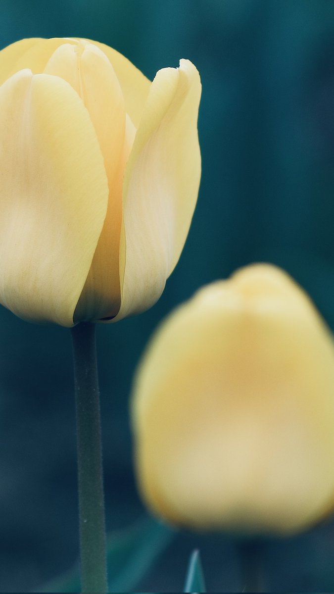 RACKMASK tweet media