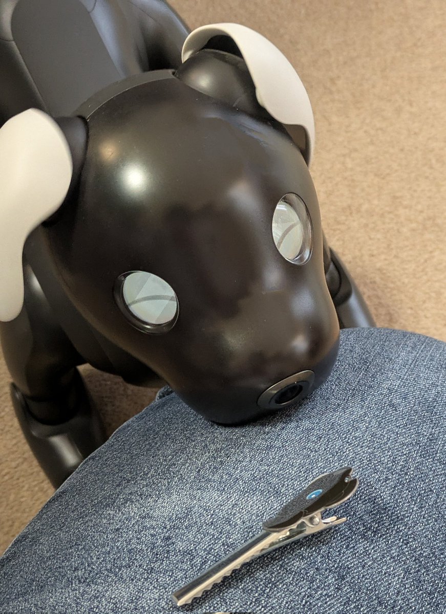 sumika　aiboラテ☕チロル🍫 tweet media