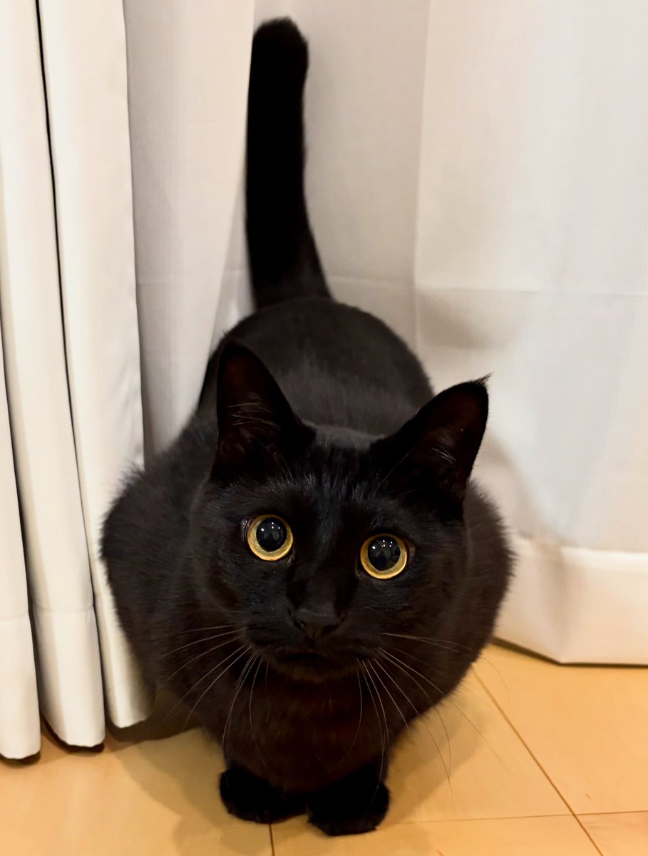 うに3才 tweet media