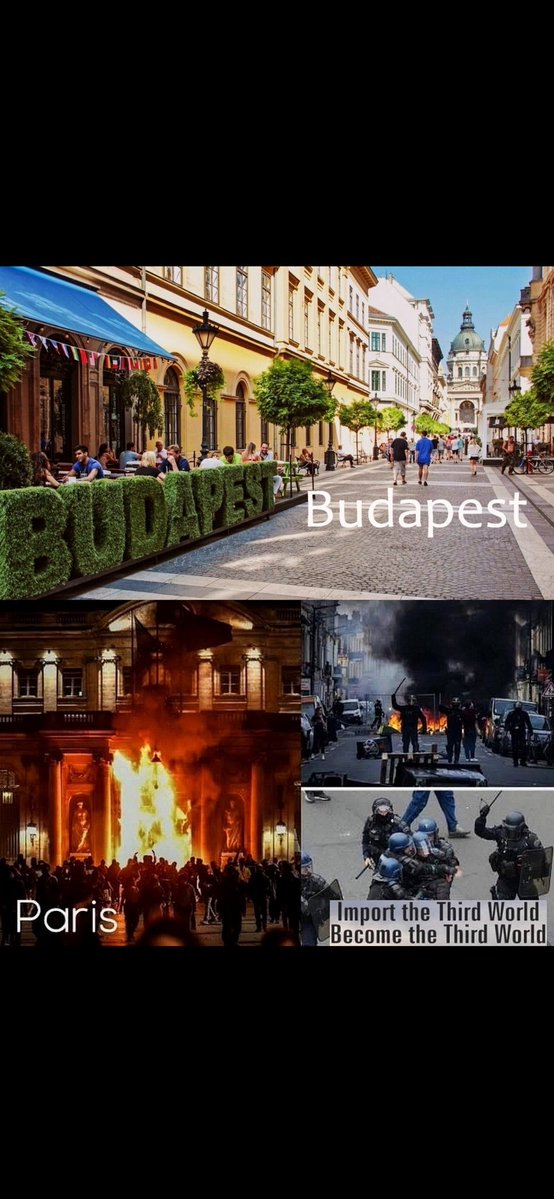 jan v DIJK tweet media