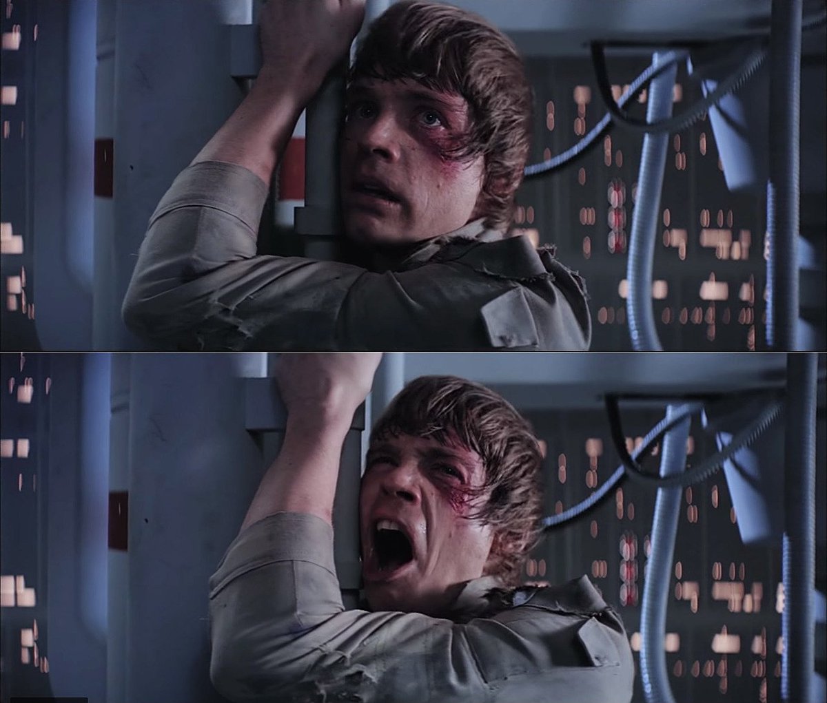 류비이(Ryu Byee)🐇 tweet media