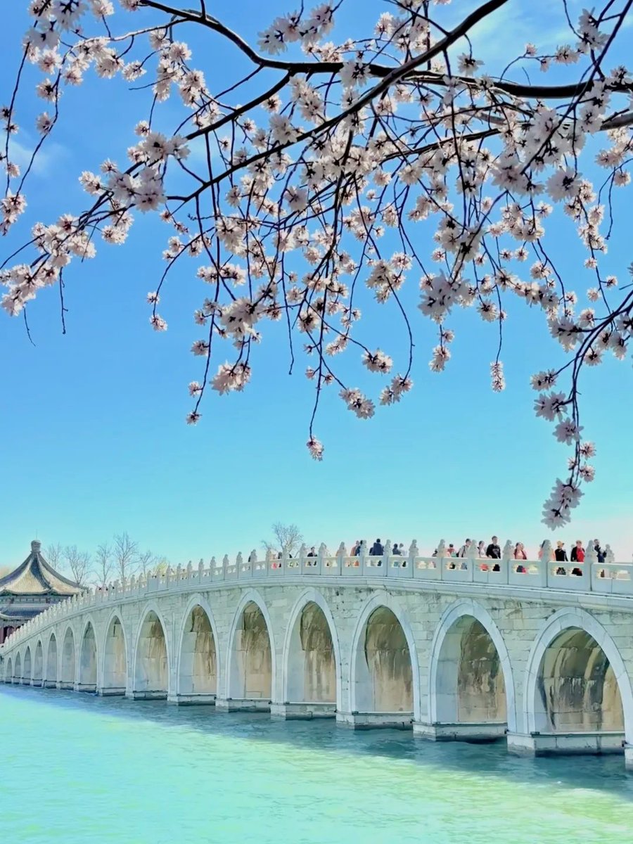 jjerjin's tweet photo. Yiheyuan 🌸 The mountain peach blossoms are in bloom
#ShareSpring #Ourspring #SpringIsAllAboutFlowers https://t.co/ewkkXMg2sI