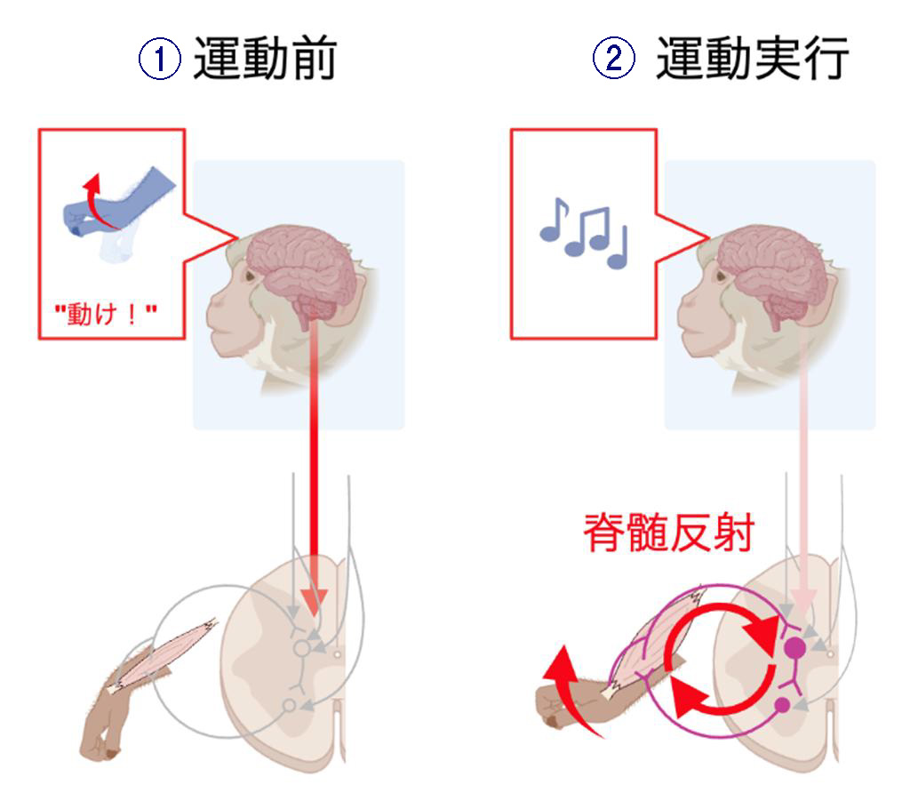 電気通信大学 tweet media