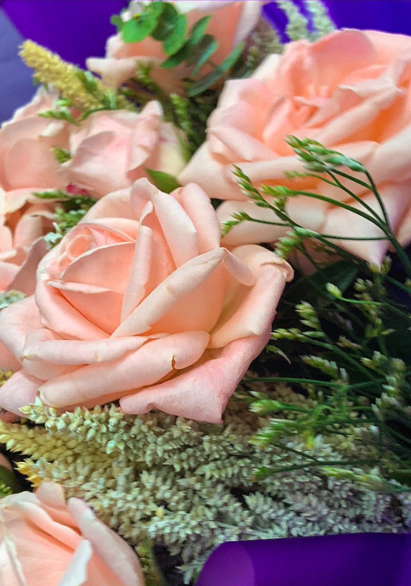 kernul🍊(comms closed!) tweet media