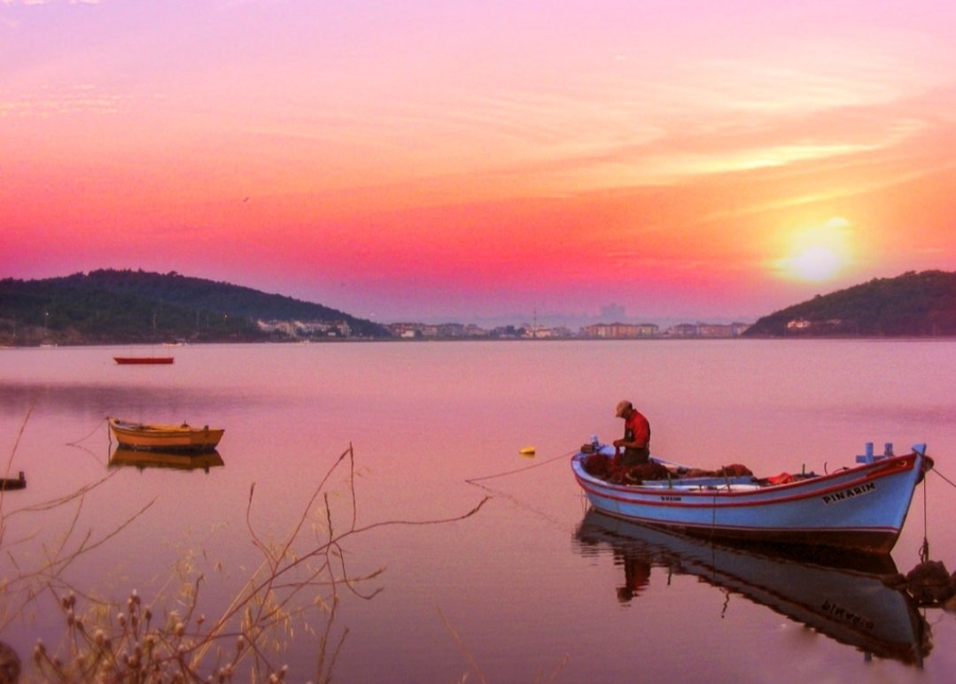 Cryptologdr tweet media