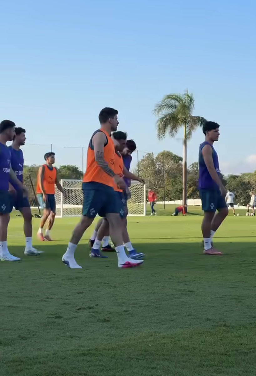 نيفيزه tweet media