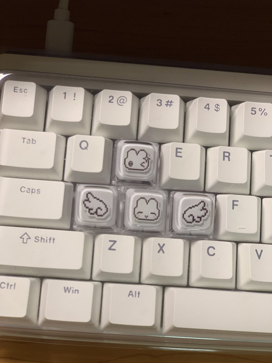 chichichi tweet media