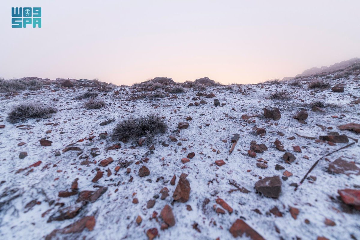 واس جودة الحياة tweet media