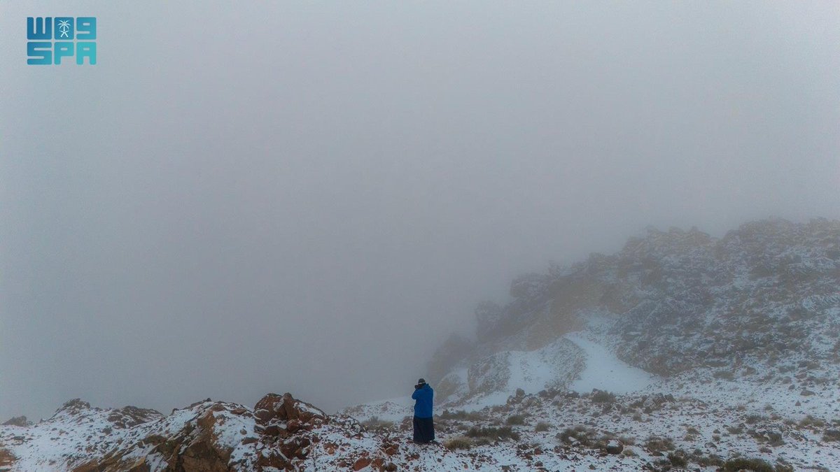 واس جودة الحياة tweet media