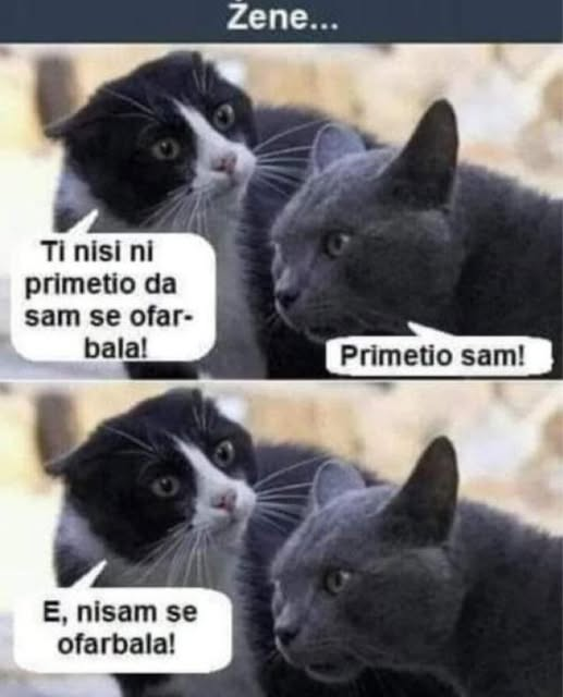 Mиланче tweet media