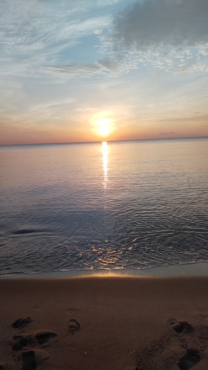 ghirigoro rogighiro  tweet media