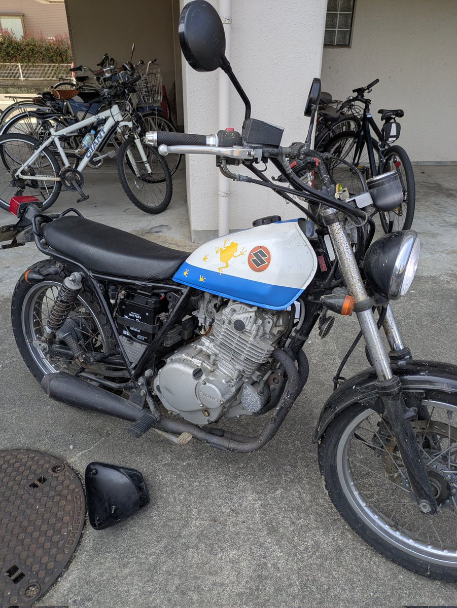 Youkooooo tweet media