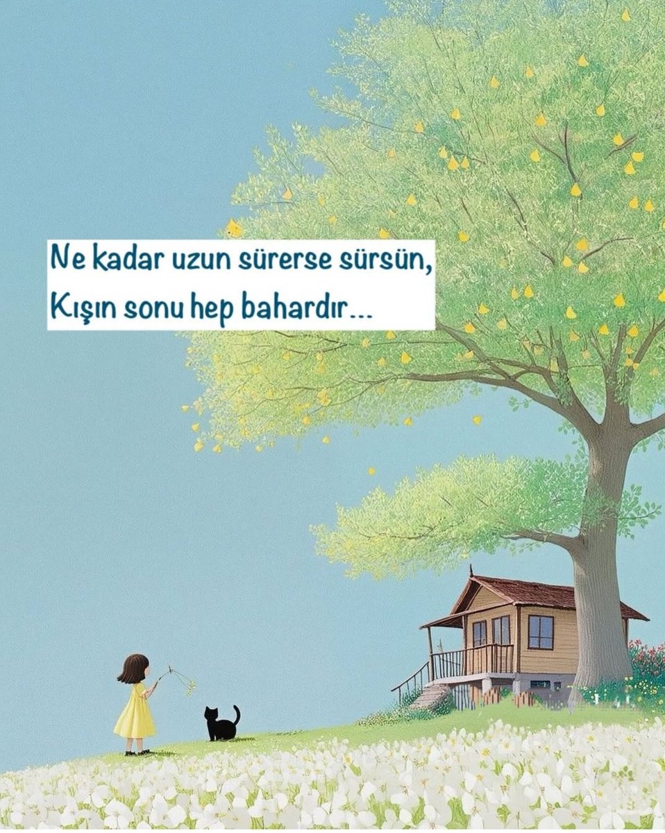 @ylin🎭 tweet media