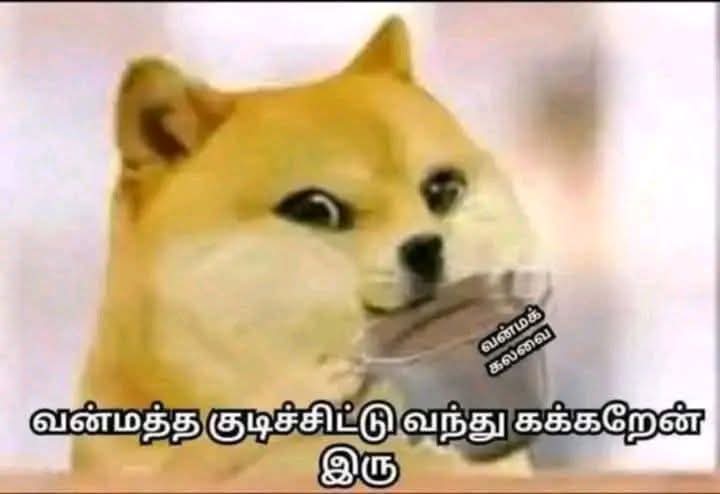 caroline tweet media