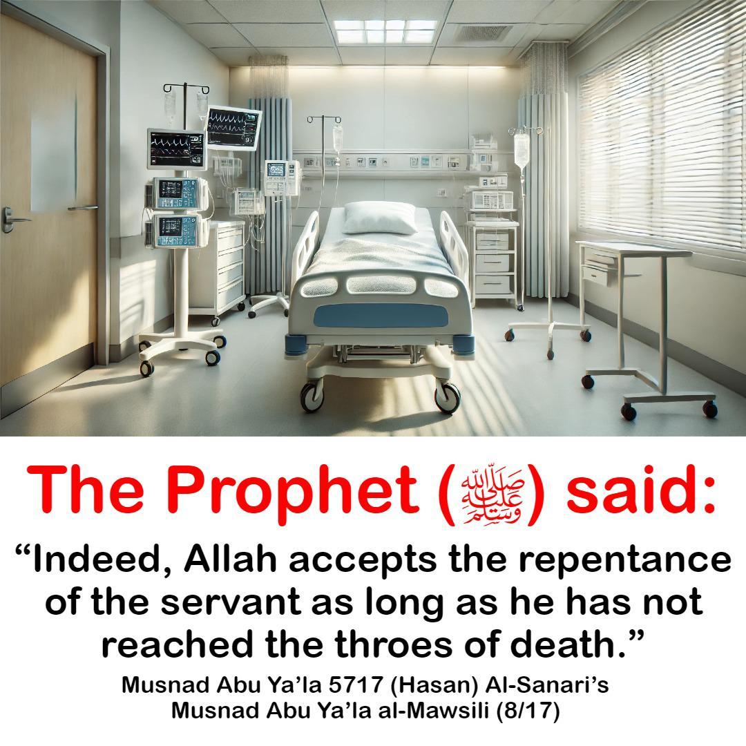 Abu_Afreen♚ tweet media