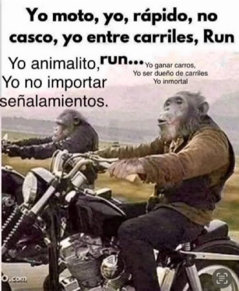 Pescuezo de Guajolote tweet media