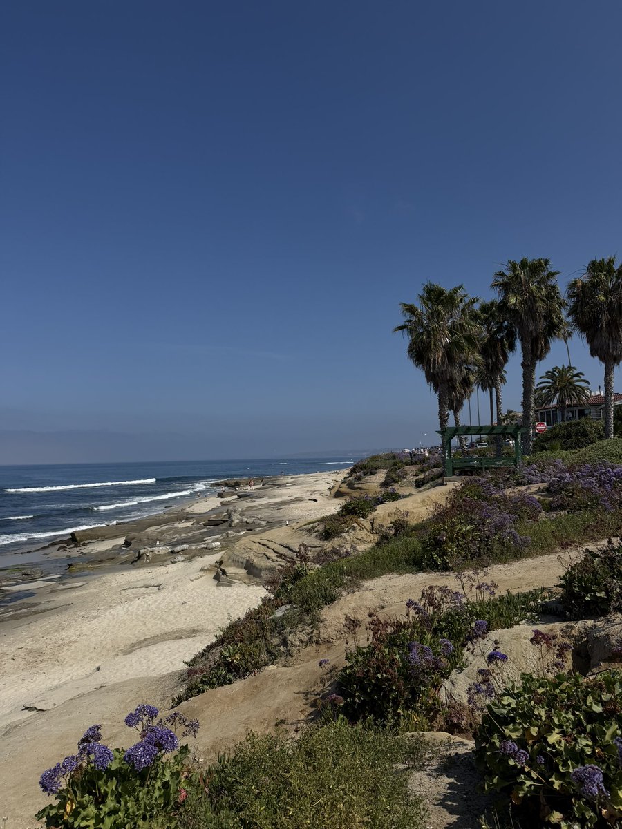 ALYSA 🫶🏽 tweet media