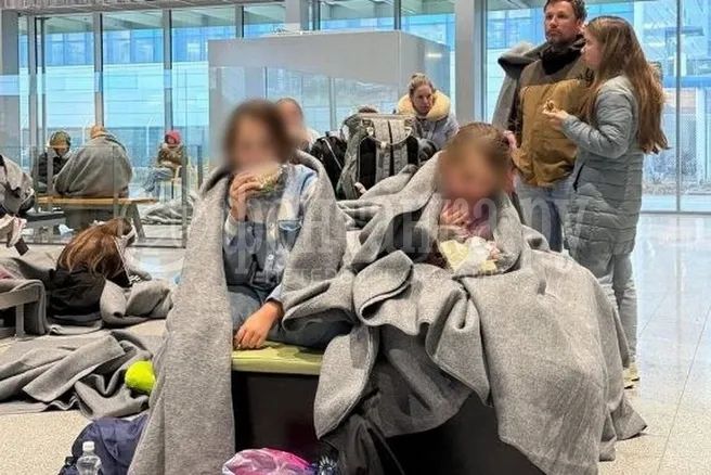 Minna M. tweet media