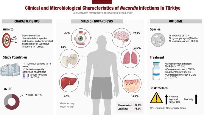Erenztr16499823's tweet photo. 📢 Published!
I’m pleased to share that our study, “Clinical and microbiological characteristics of Nocardiainfections: a 10-Year multicentre study from Türkiye
”, has now been published in the European Journal of Clinical Microbiology &amp; Infectious Diseases (Q2). 

#nocardia https://t.co/lP7acB6snw