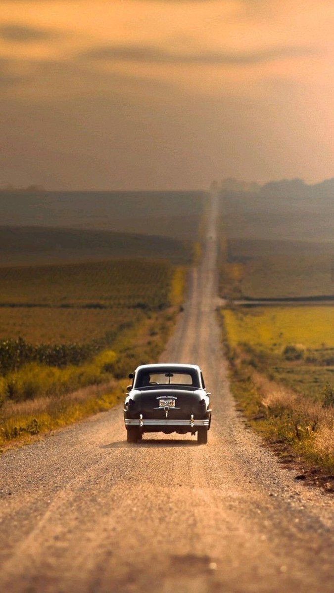 أيمن بن محمد بن راشد الخصيبي tweet media