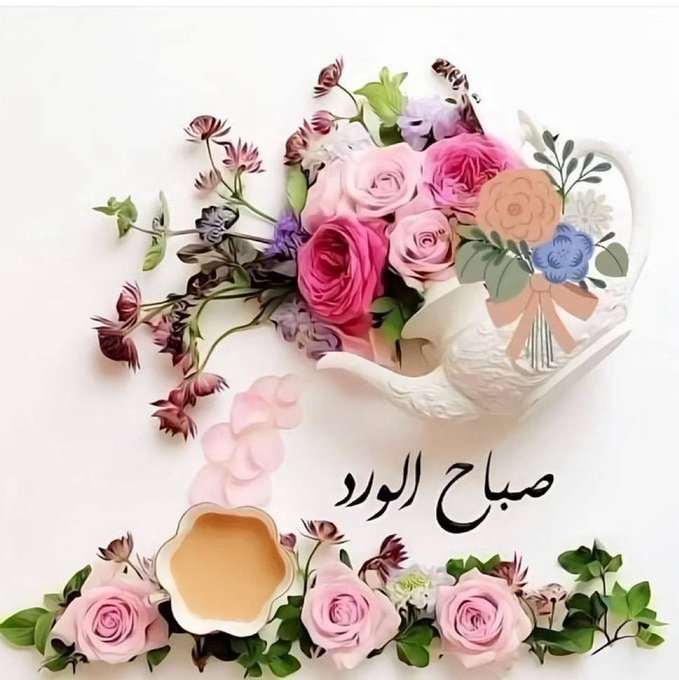 صلاح tweet media