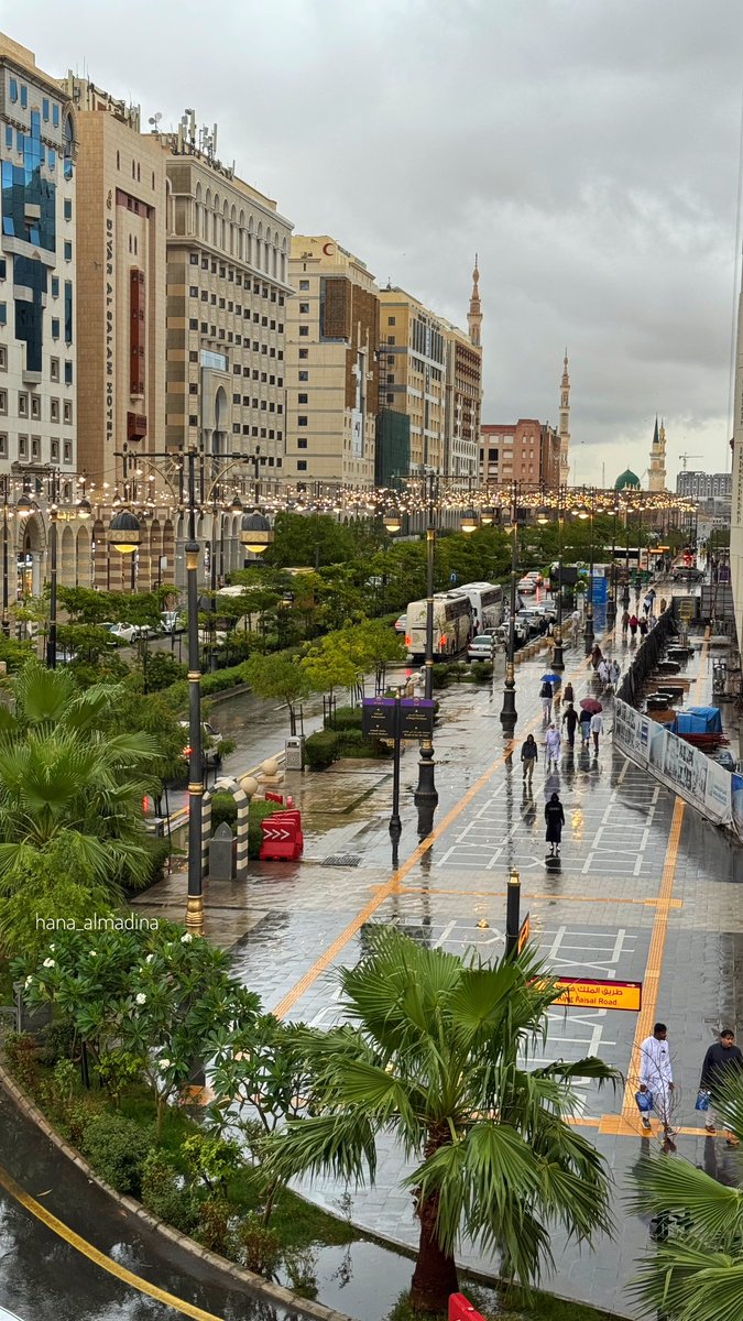 هناء المدينة tweet media