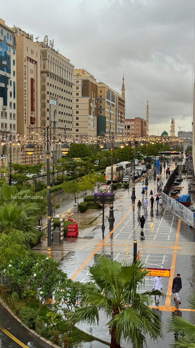 هناء المدينة tweet media