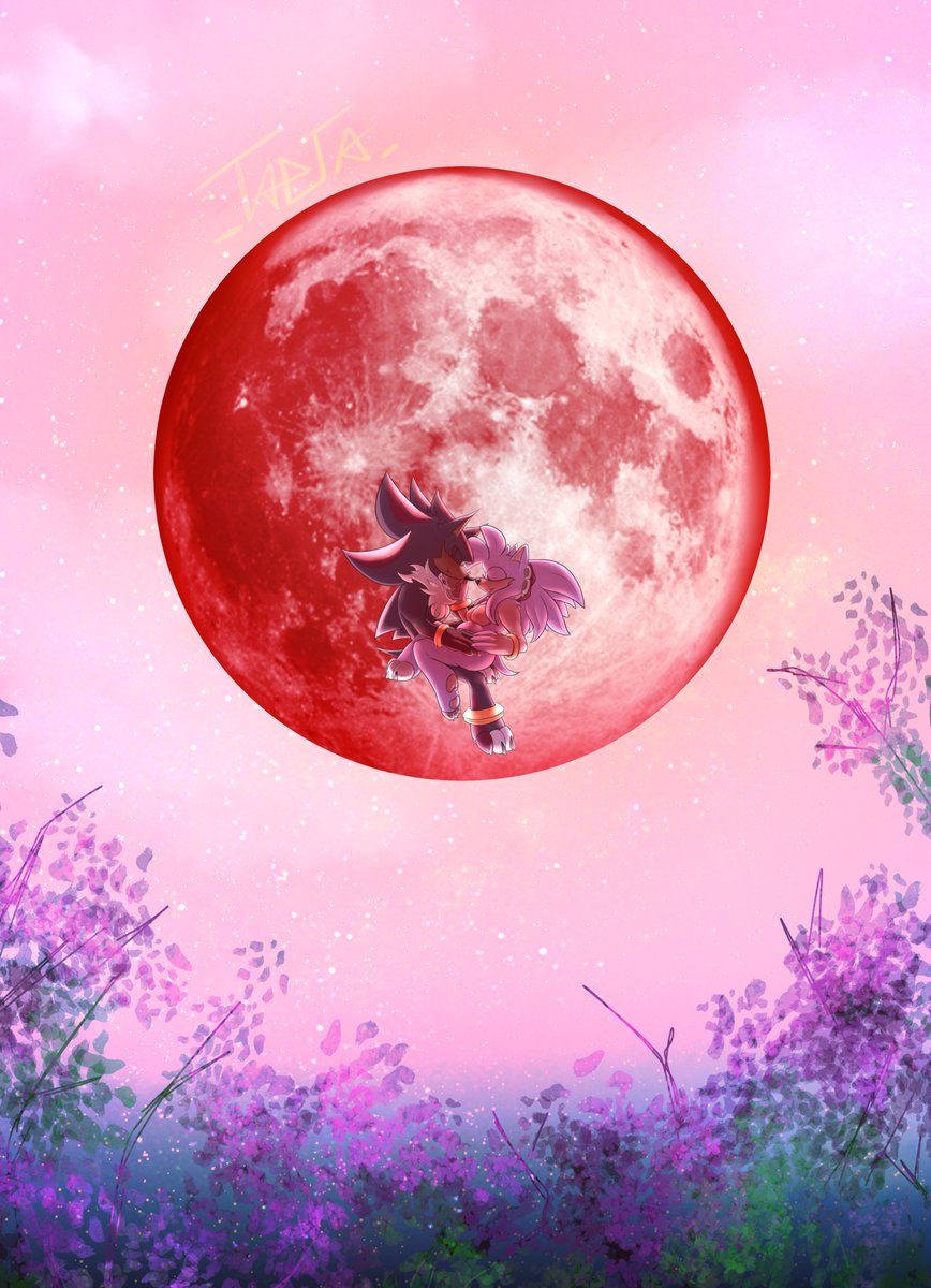 Entrapta Schuyler 🔞 tweet media