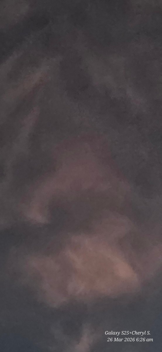 Cheryl Scheffer tweet media