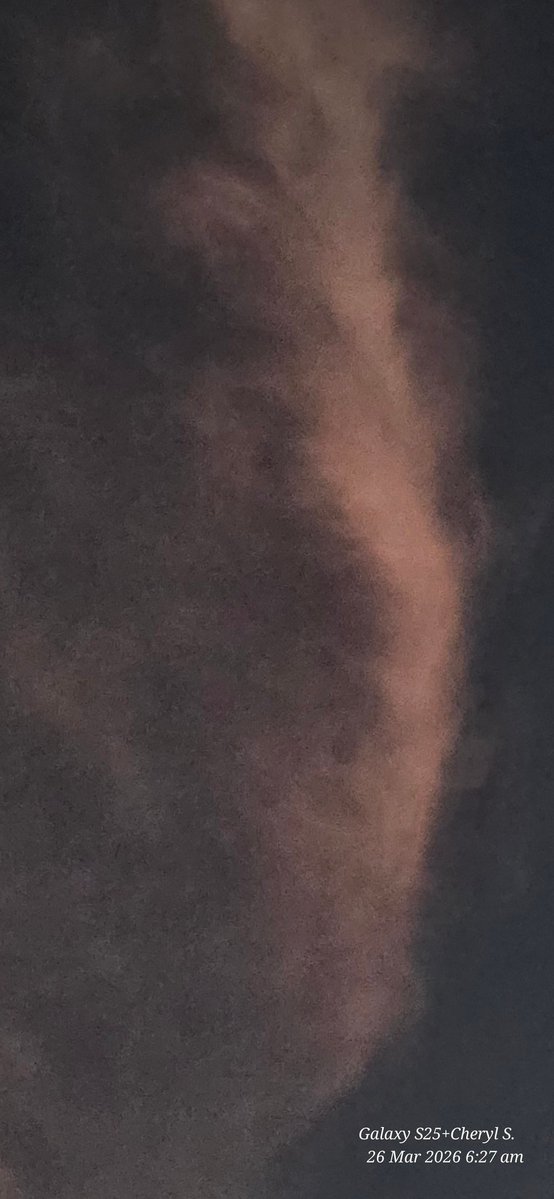 Cheryl Scheffer tweet media