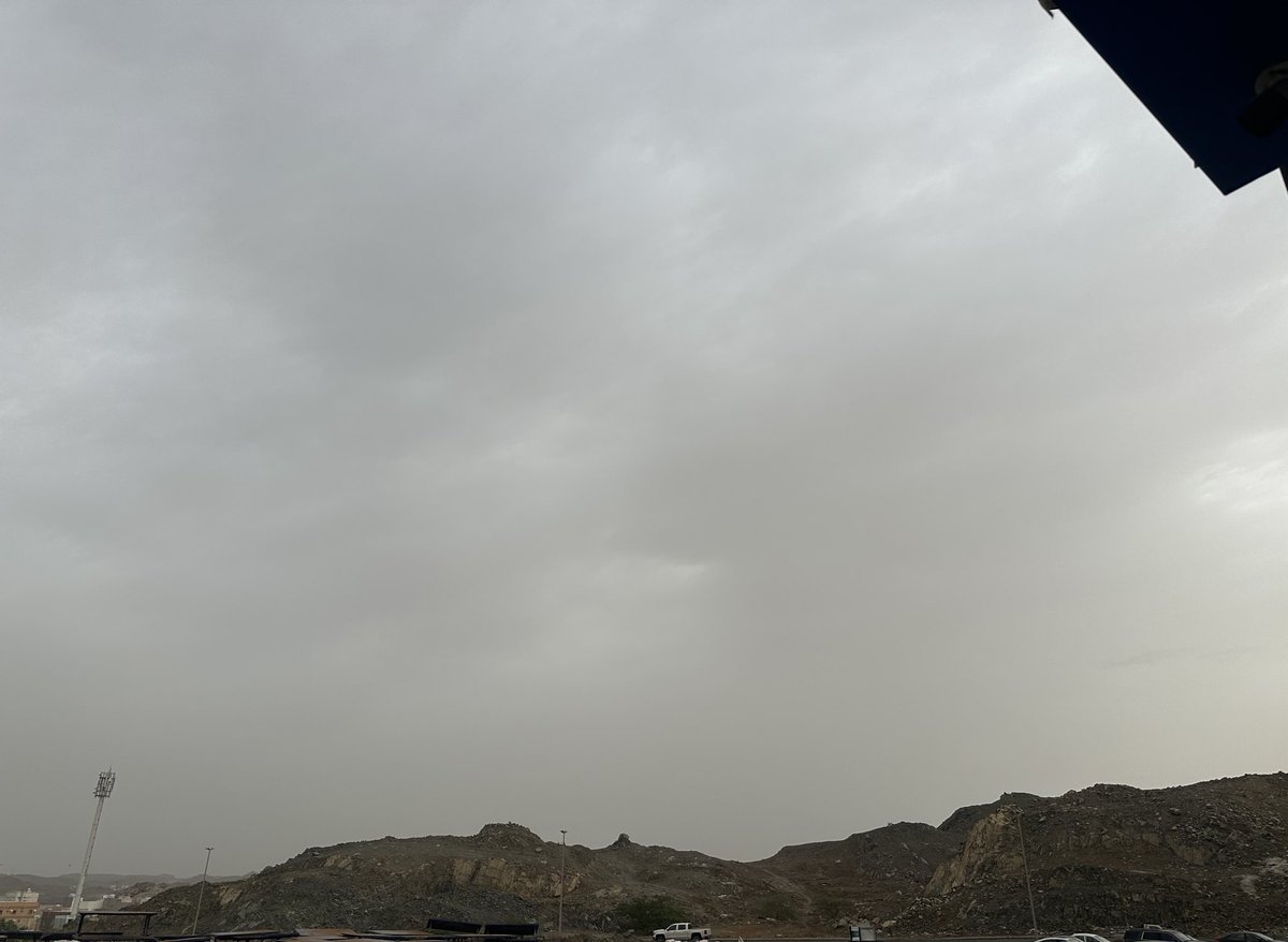 مدري tweet media