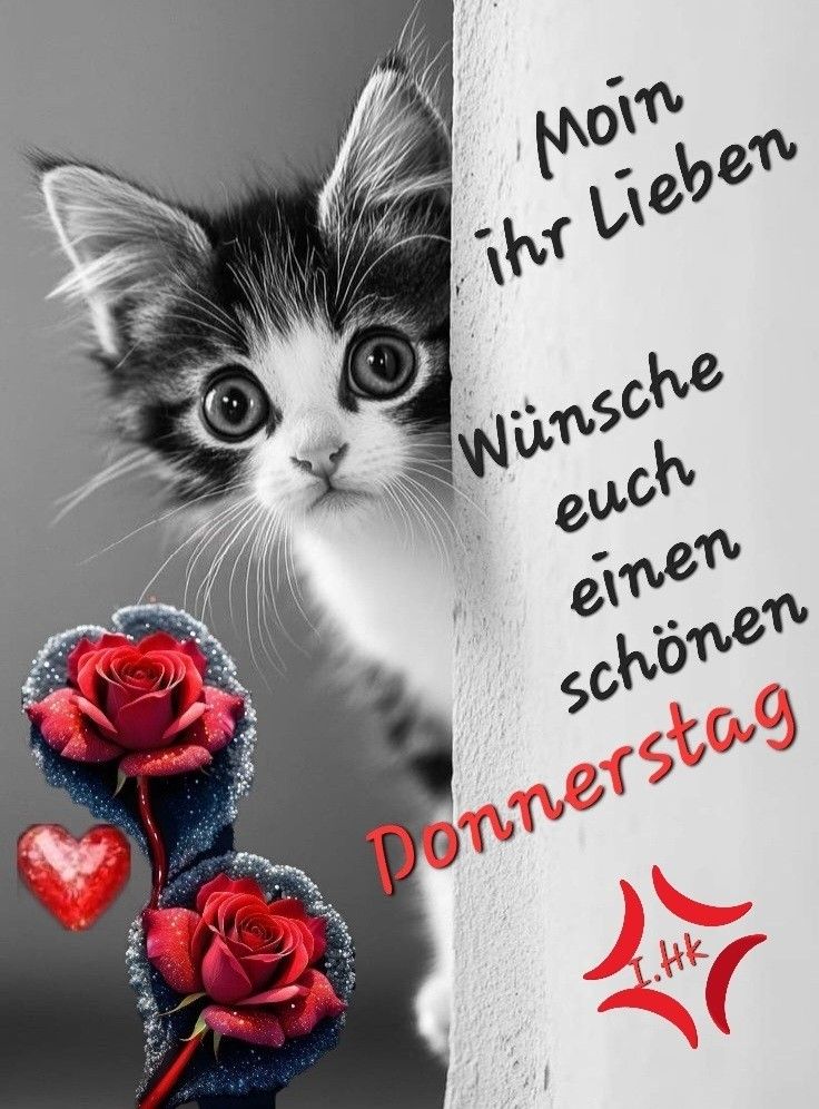 protectora_de_animales_lena Instagram tweet media