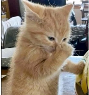 ❀.ೃ Sara ❀.ೃ tweet media