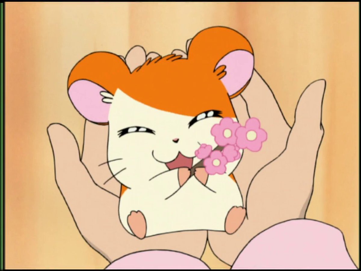 Hamtaro・ハム太郎 tweet media