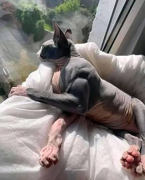 Beam intern tweet media