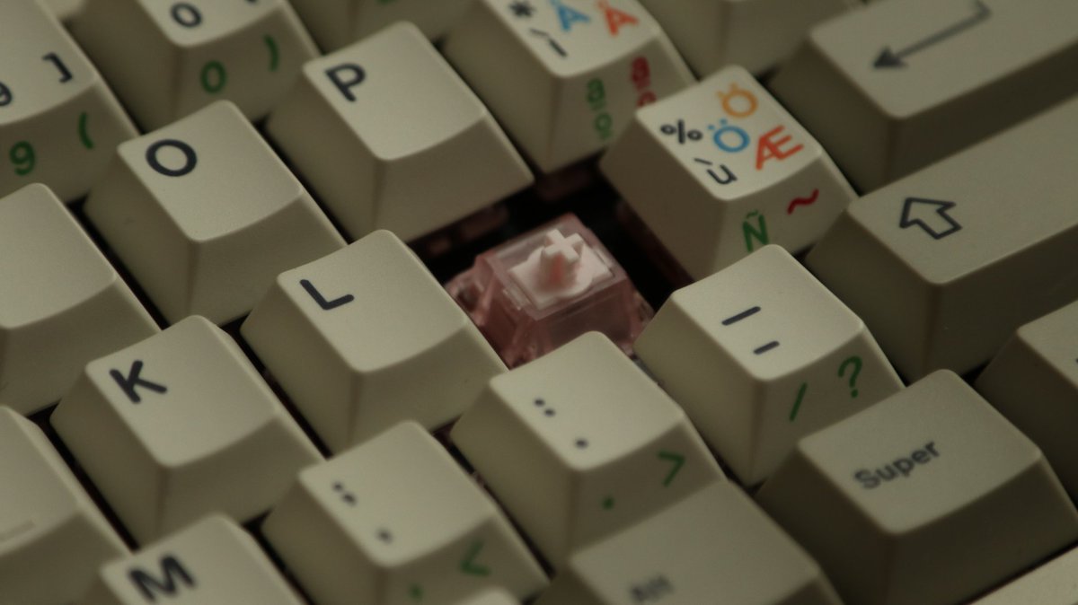 ybg dog tweet media