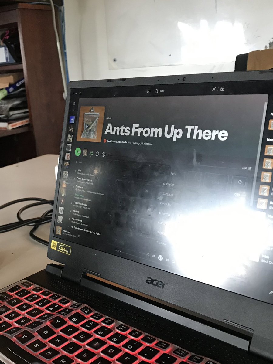 ⋆˙⟡ 𖤓 B⋮LA ☽ ⟡˙⋆ tweet media