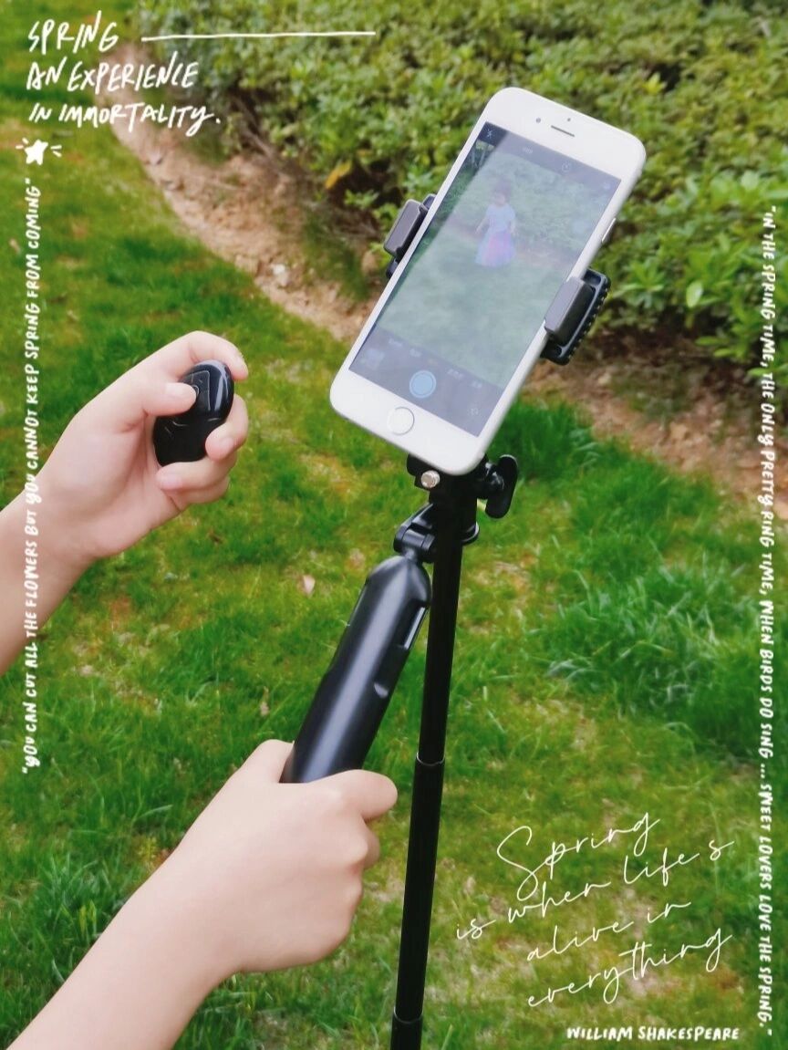 Tommy Reeder tweet media