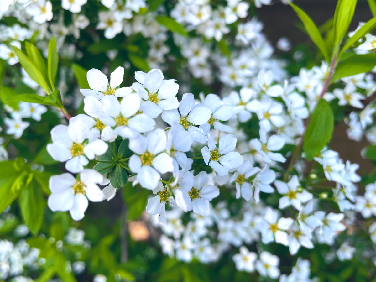 とうかとう tweet media