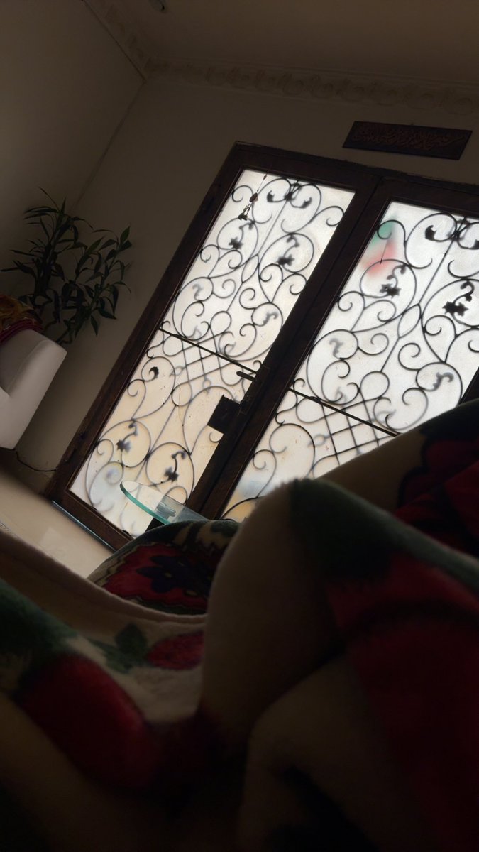 7amd🦁 tweet media