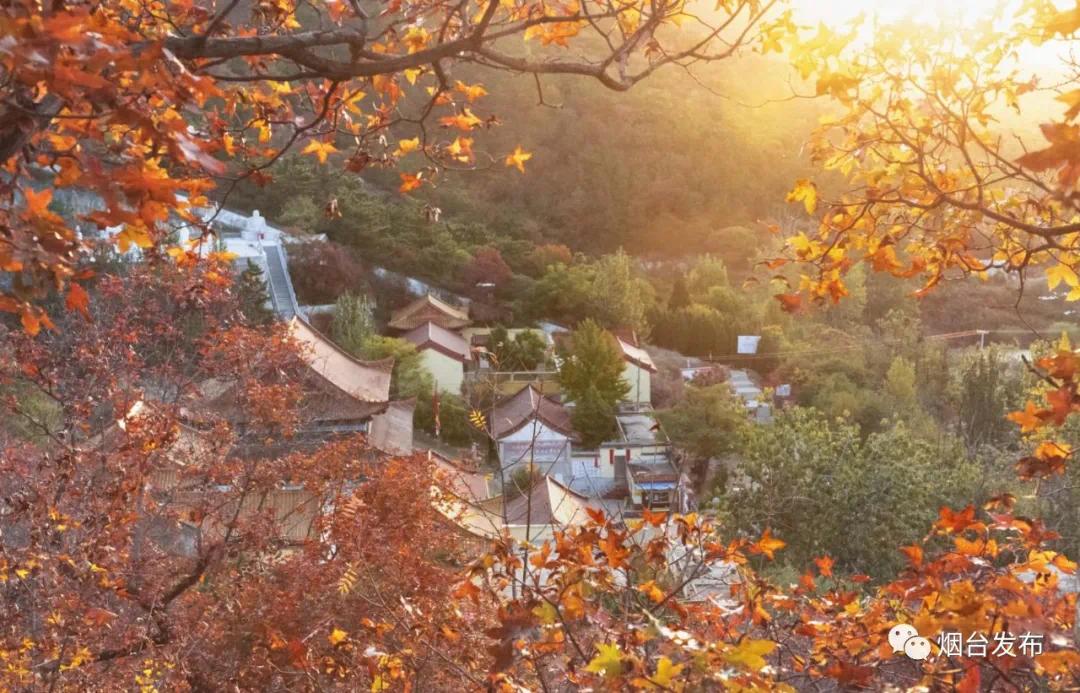 Frank Ledford tweet media