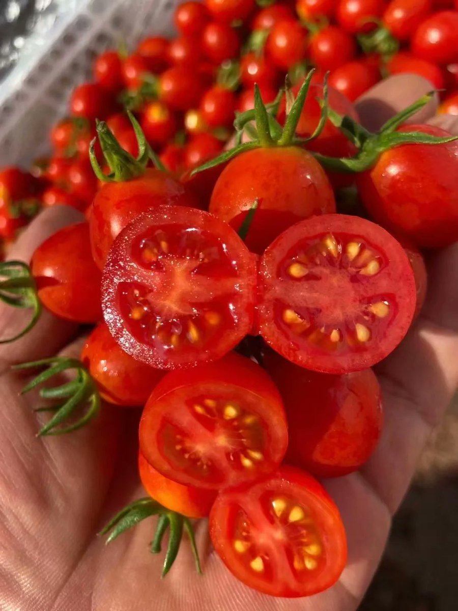 mohamed bangoura tweet media