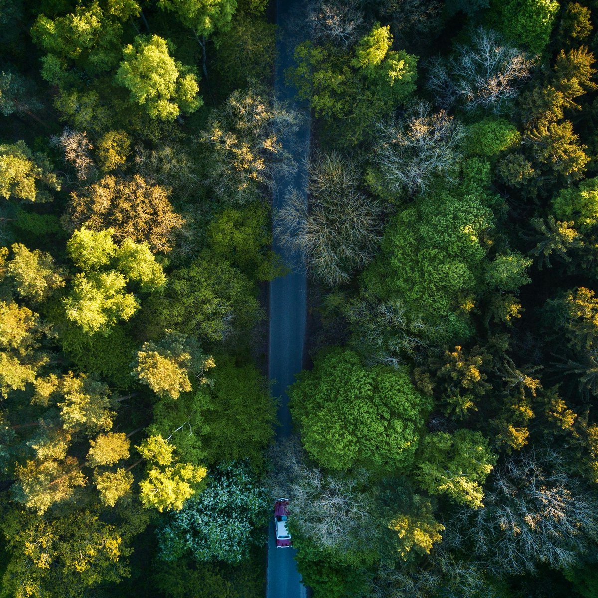 Boşuna Tıklama tweet media