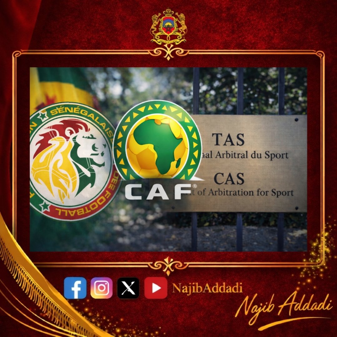 نجيب الأضادي-Najib Addadi tweet media