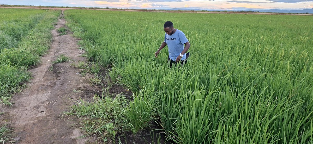 Thomas-Josephat tweet media