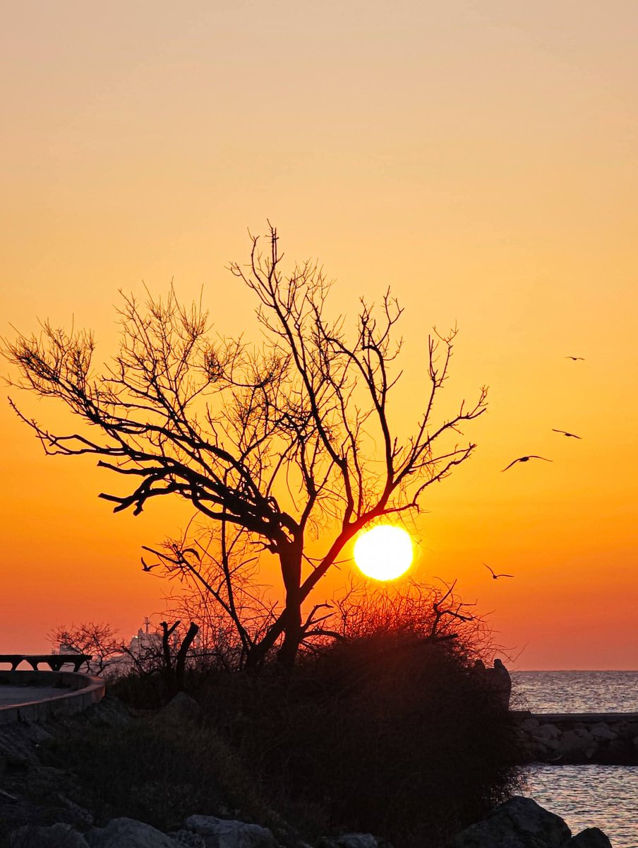 valentina tweet media